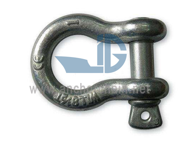 Schraubstift-Ankerschäkel G209